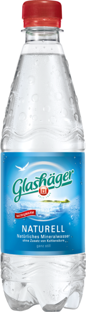 Glashäger Still PET EWP 3x6x0,50l