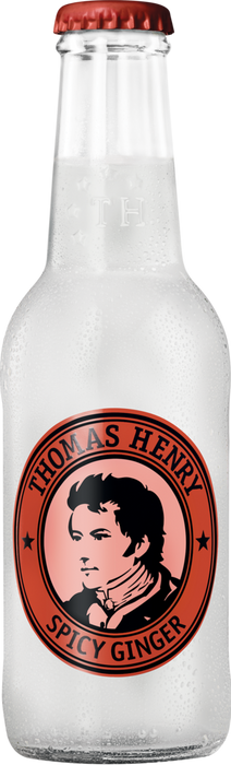 Th. Henry Spicy Ginger Beer MW  24x0,20l
